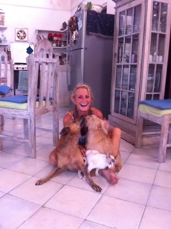 Accommodatie bij particulieren Shady Grove Healing Centre & W House Rules Please Read Before