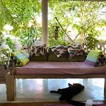 Shady Grove Healing Centre & Homestay W House Rules Please Read Before Booking