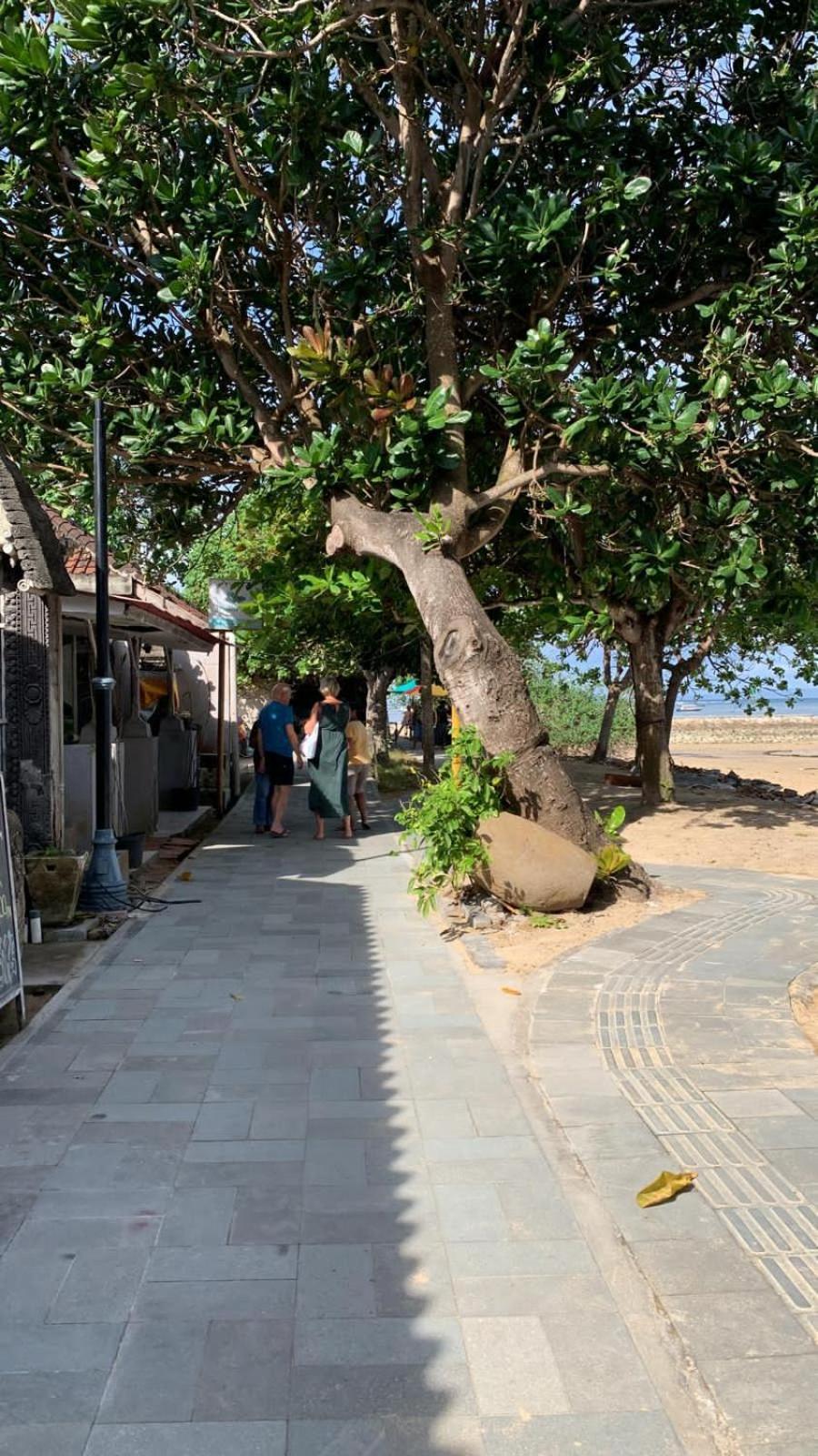 Shady Grove Healing Centre & W House Rules Please Read Before * Sanur (Bali)