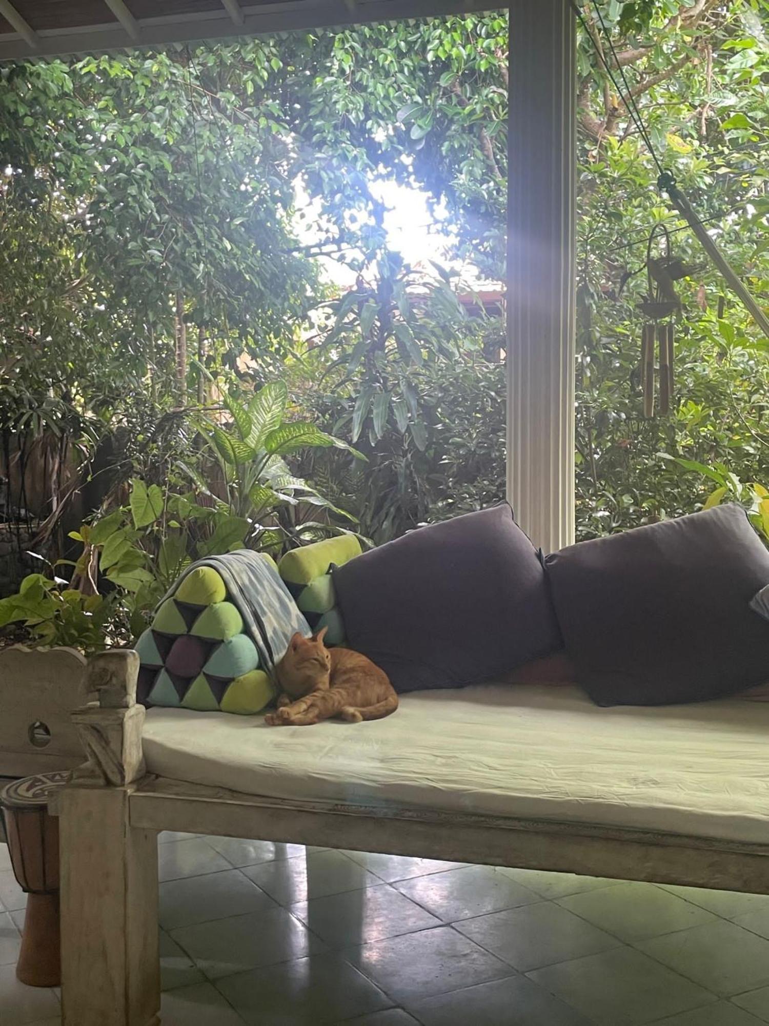 Shady Grove Healing Centre & W House Rules Please Read Before Homestay