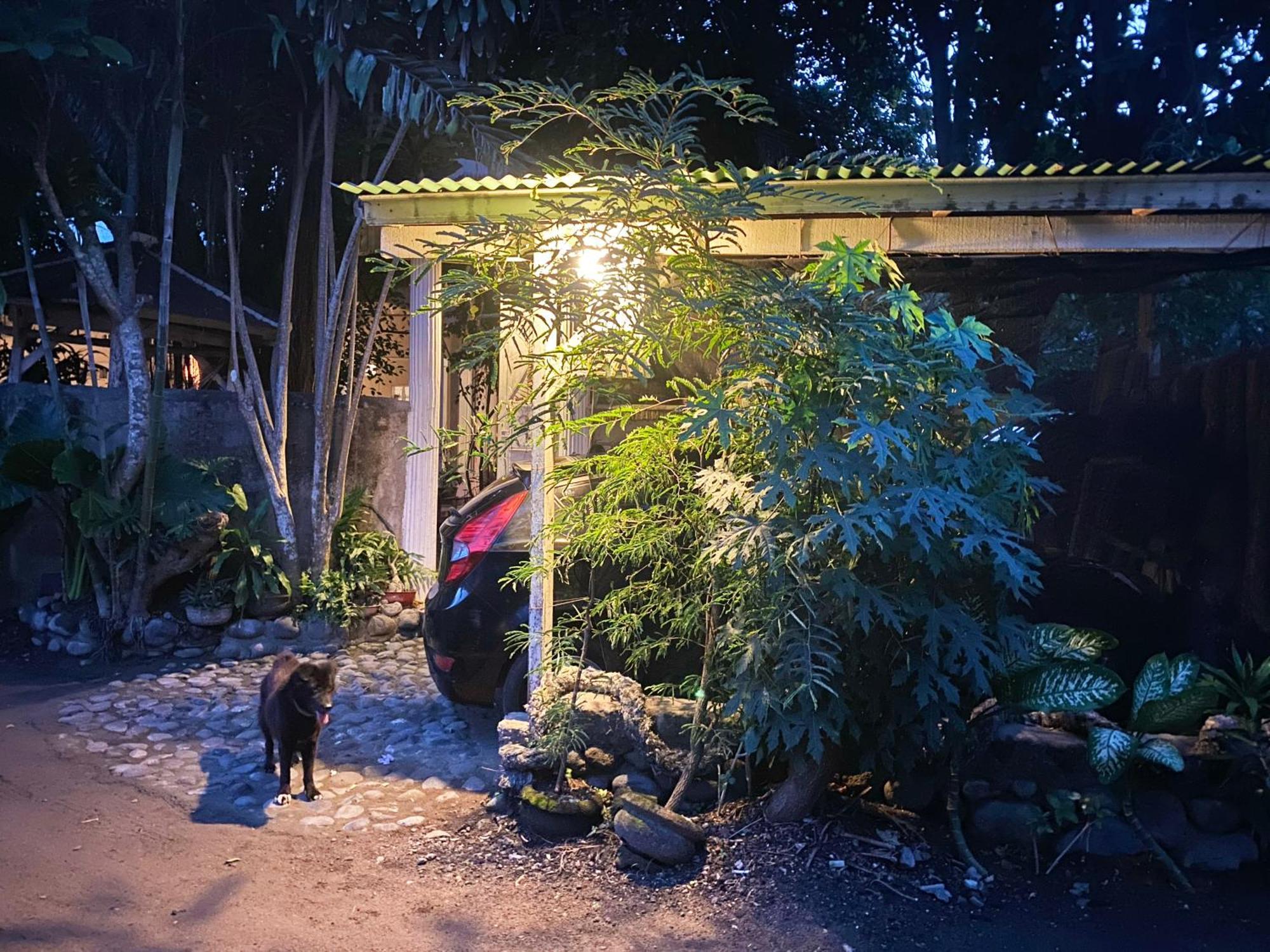 Shady Grove Healing Centre & W House Rules Please Read Before Homestay Sanur (Bali)