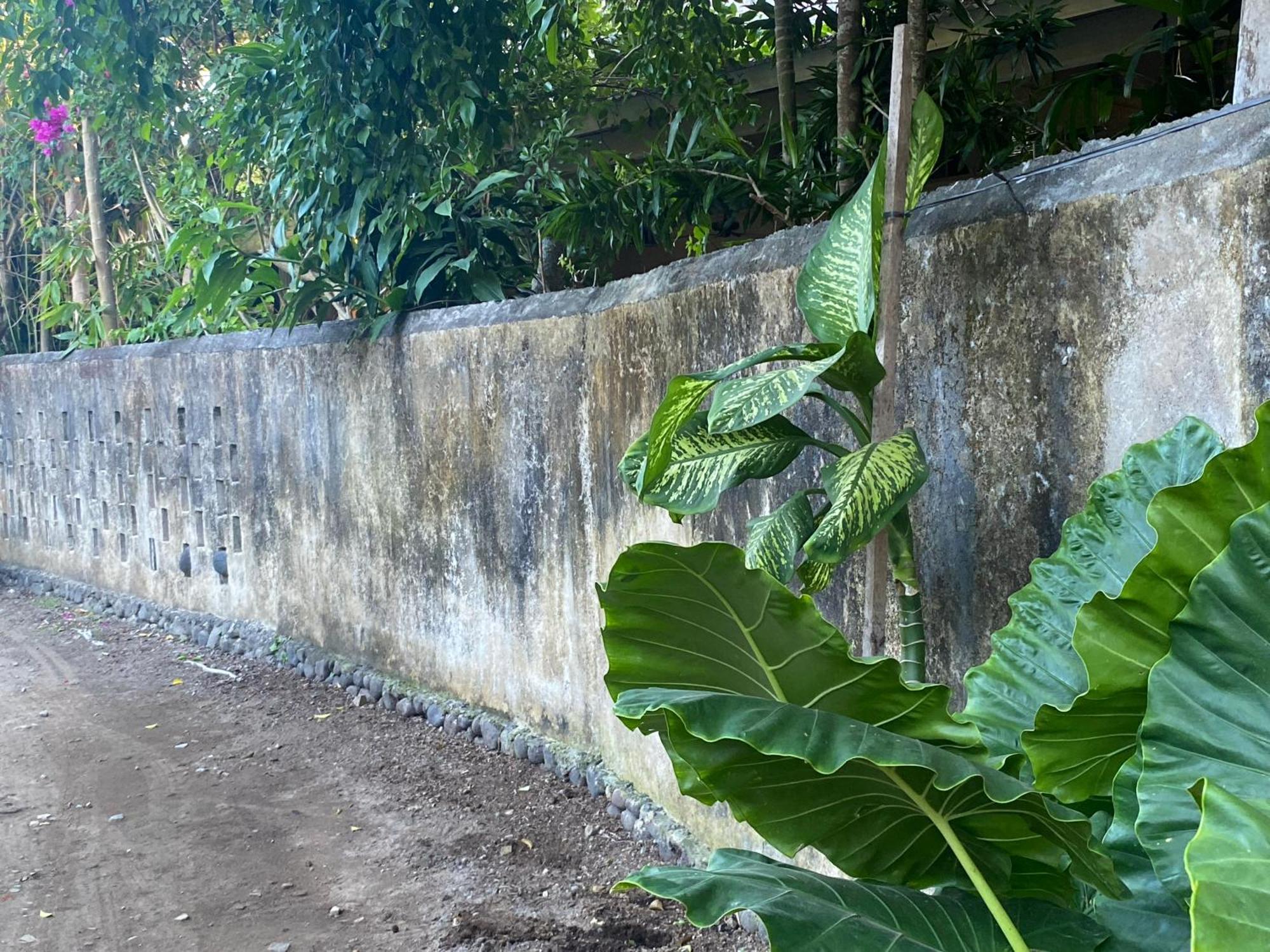 Shady Grove Healing Centre & W House Rules Please Read Before * Sanur (Bali)