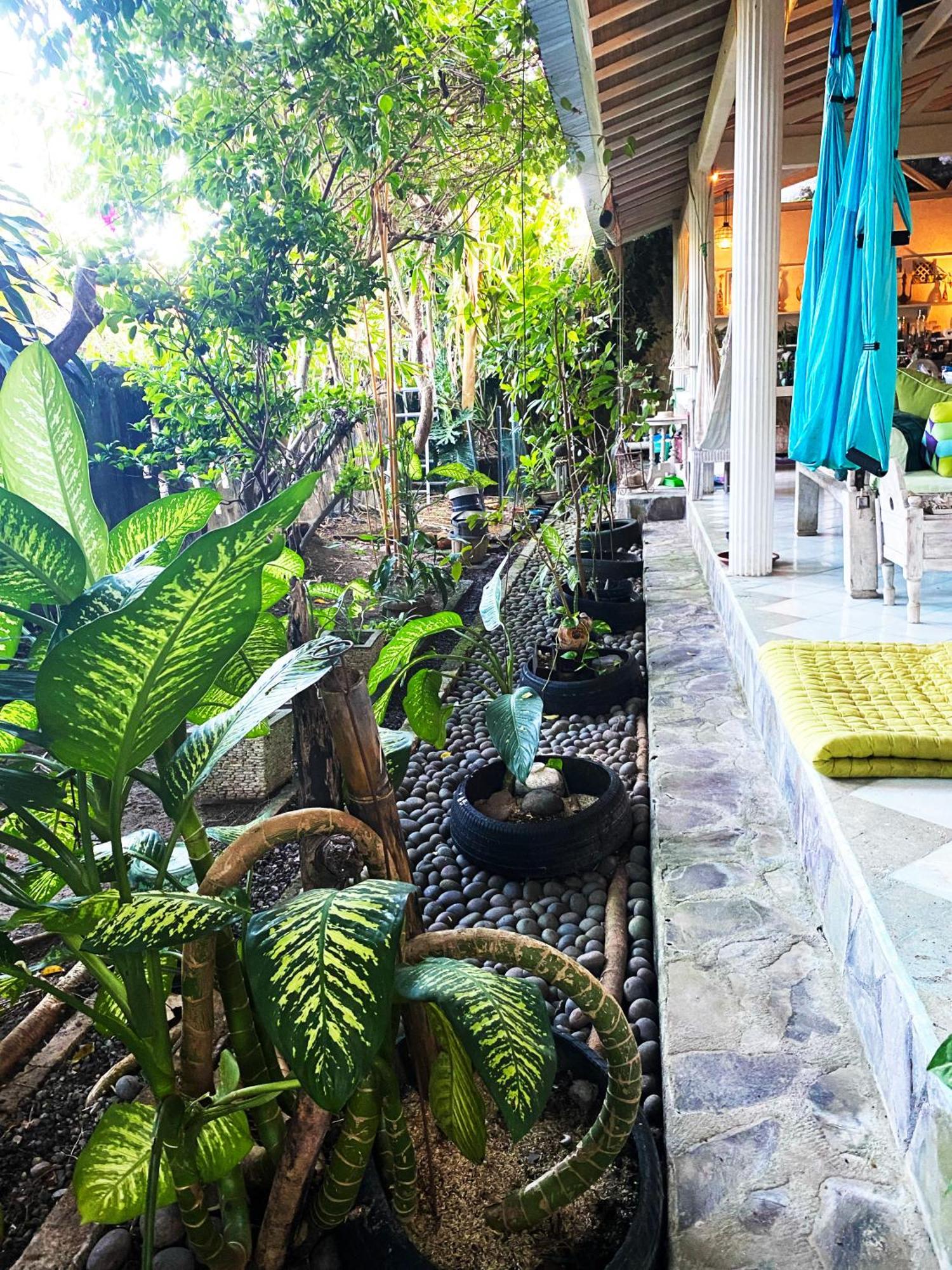 Homestay Shady Grove Healing Centre & W House Rules Please Read Before Sanur (Bali)
