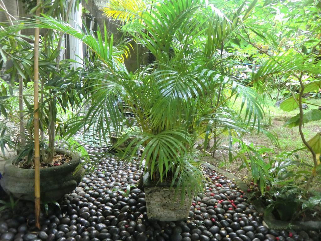 Shady Grove Healing Centre & W House Rules Please Read Before